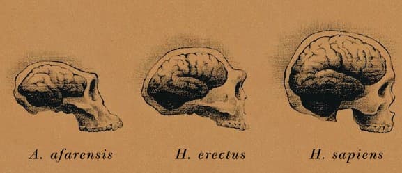 ¿Probaste el chiquito? Ahora, probá el grandote.