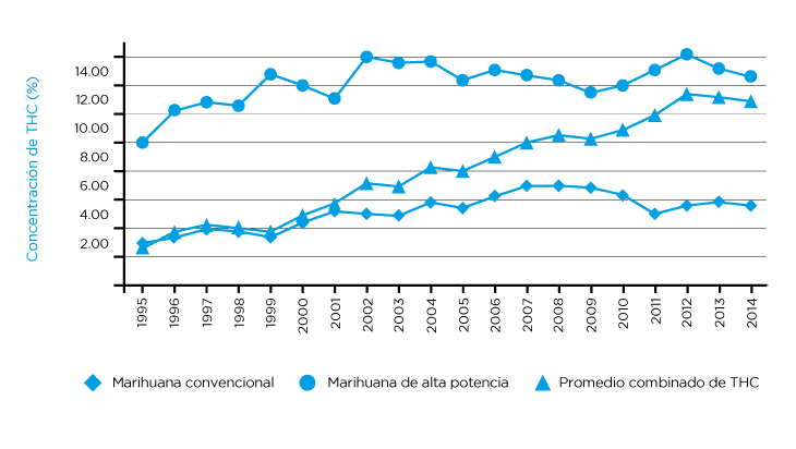 La incertidumbre de un cambio, Anandamida