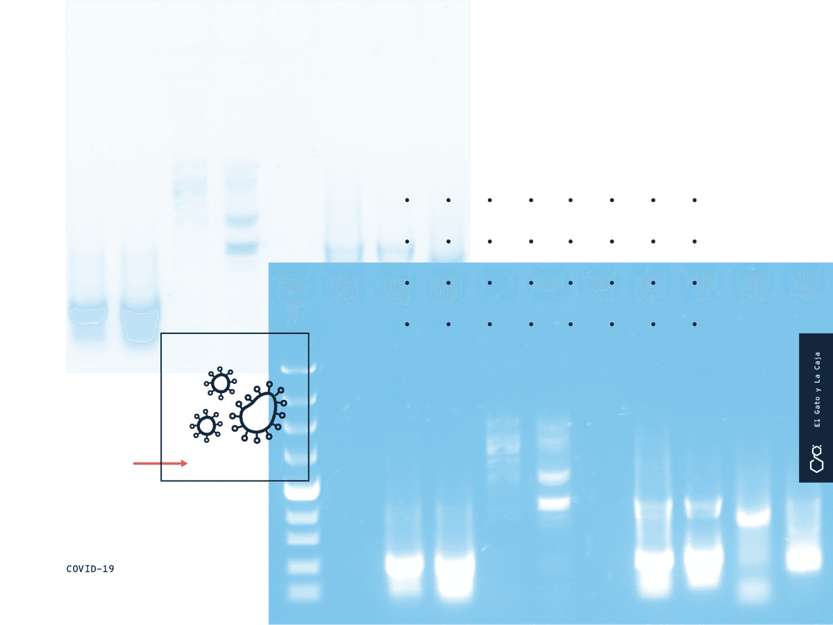 Coronavirus: lo que tenés que saber