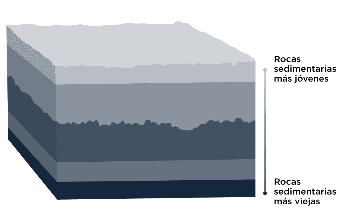 Diagrama de una sección de rocas sedimentarias en capas, mostrando la estratificación desde rocas sedimentarias más jóvenes en la parte superior hasta rocas sedimentarias más viejas en la parte inferior.