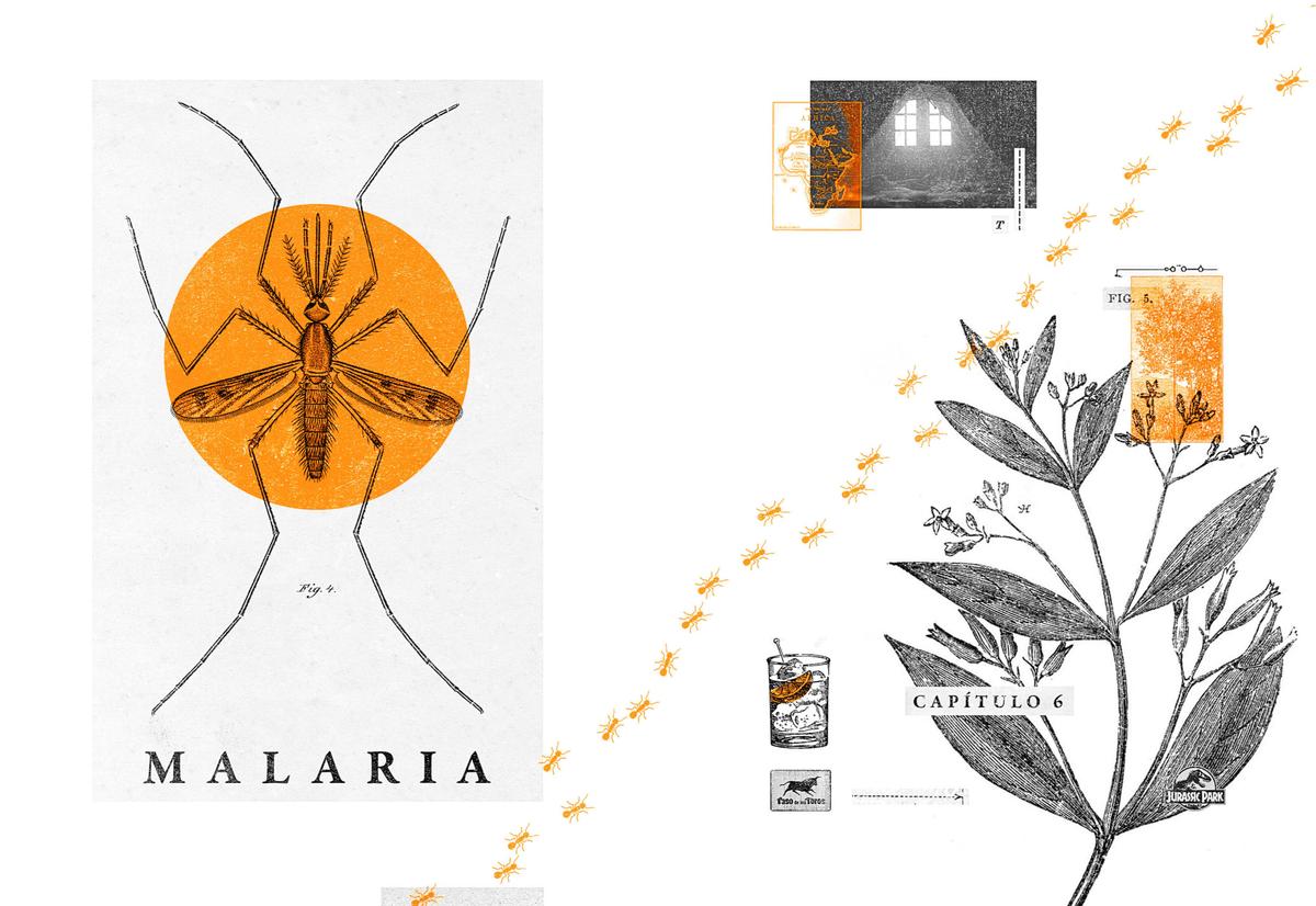 Malaria