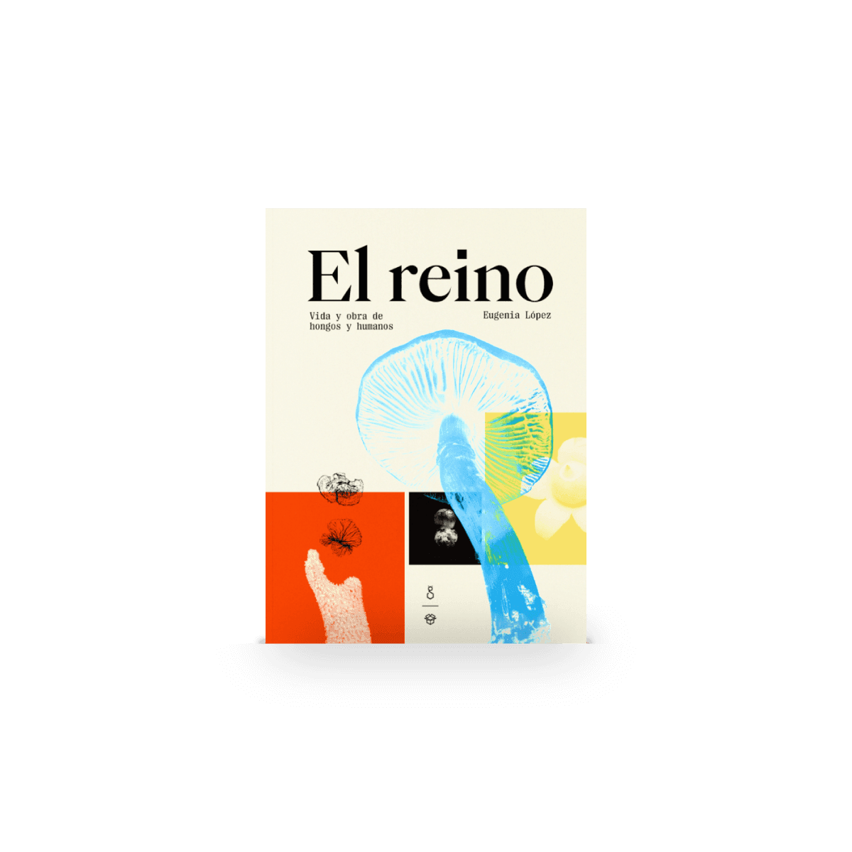 El Reino | Vida y obra de hongos y humanos