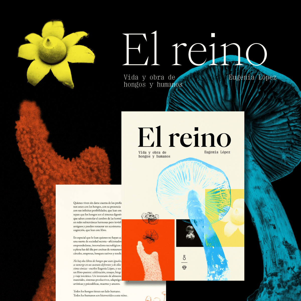 Cómo explicarle la muerte a un niño (Amanita phalloides)