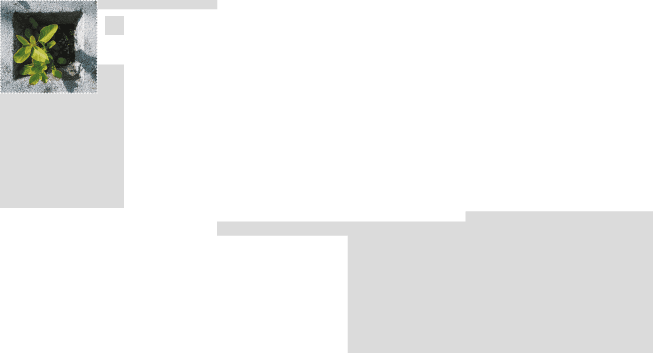 Imagen de portada