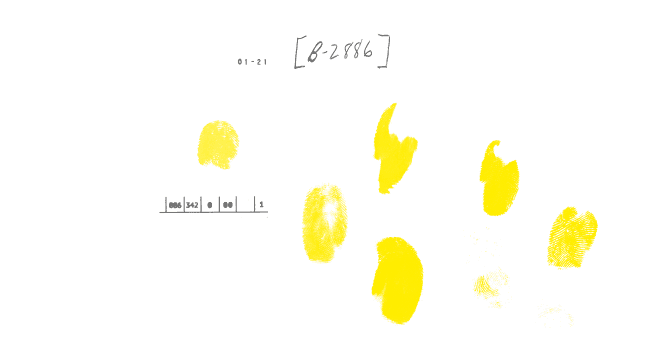 Imagen de portada