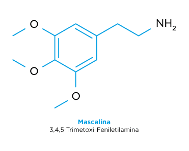 Estructura química de la mescalina.