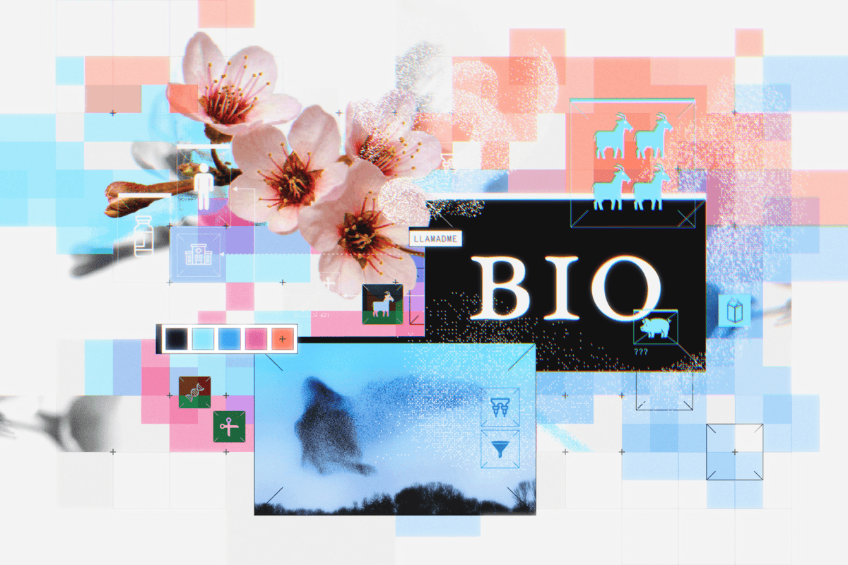 Call me BIO