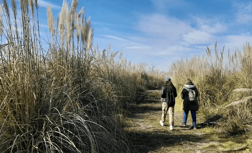 Isla Verde en El Palomar